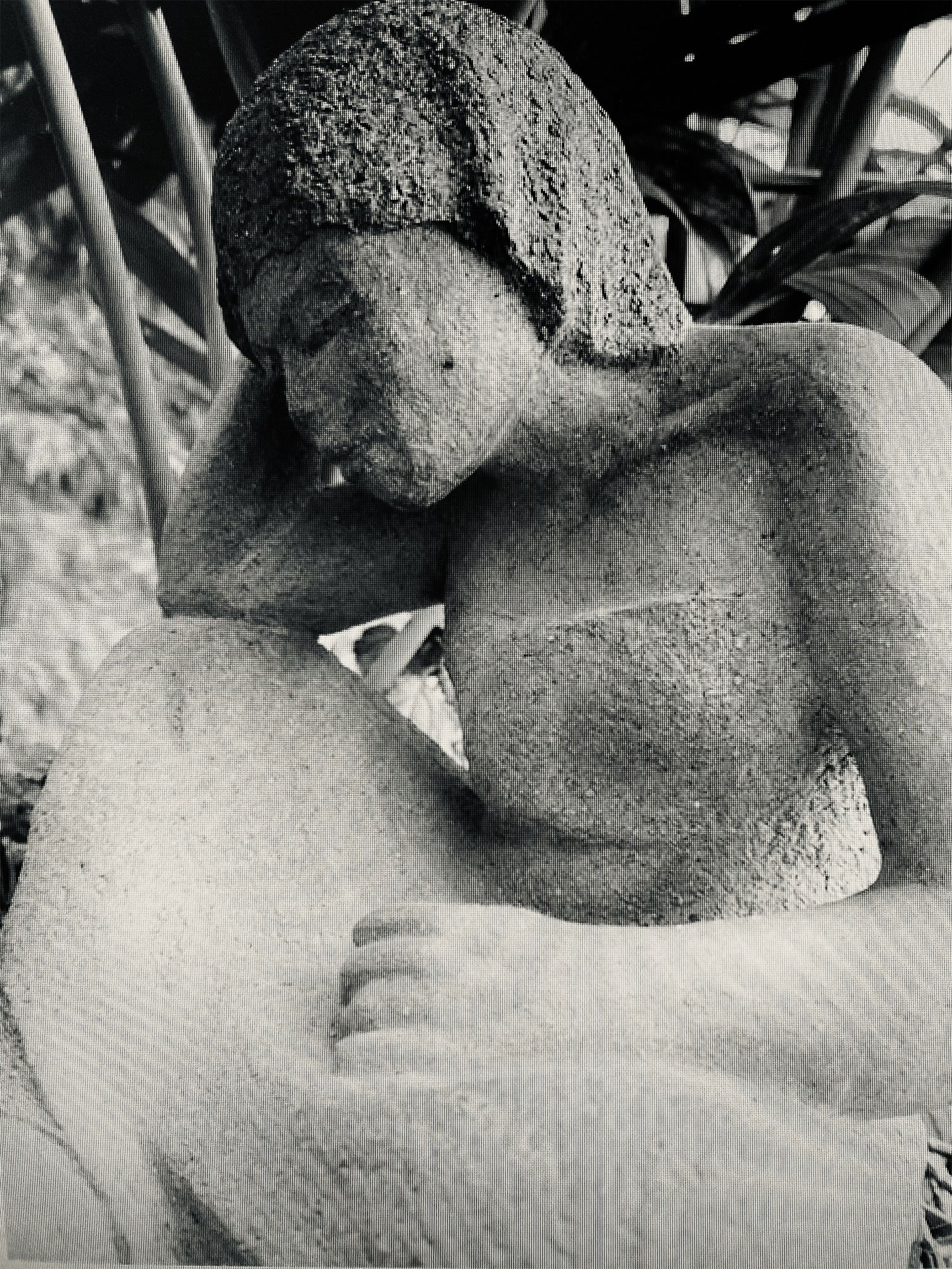 Aide administrative et Conseils Juridiques Marmande 47200